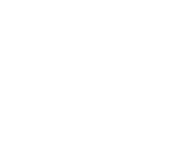 TechPapa